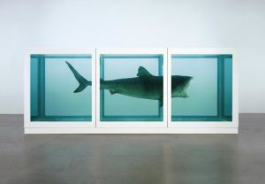 L'impossibilità fisica della morte nella mente del vivo (The Physical Impossibility of Death in the Mind of the Living) di Damien Hirst