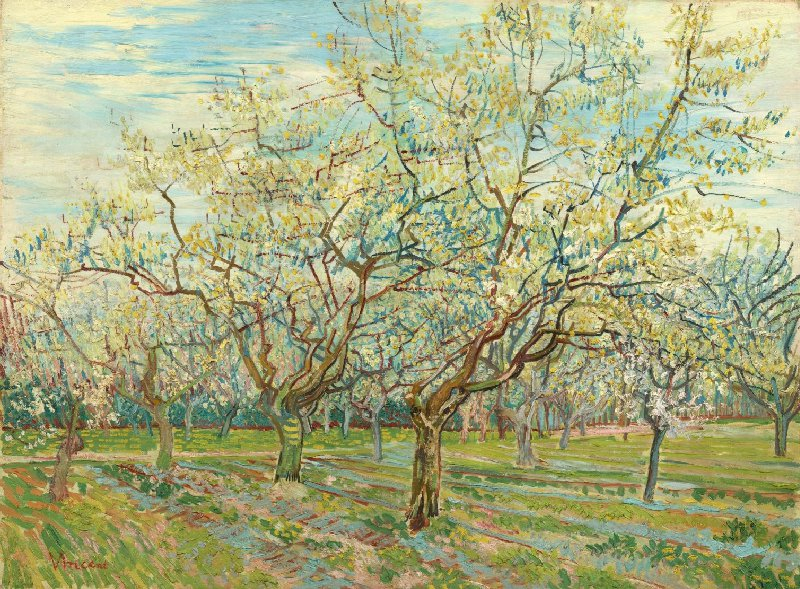 Pruni in fiore o Il Frutteto Bianco di Vincent van Gogh